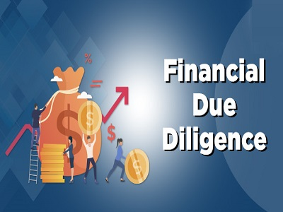 Financial Due-Diligence Market