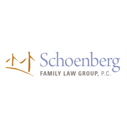 Company Logo For Schoenberg Family Law Group, P.C.'