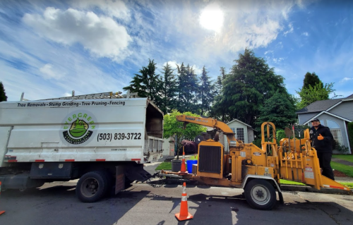 Company Logo For Evergreen Landscape Care &amp; Tree Ser'