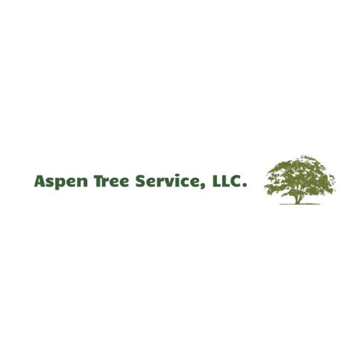 Company Logo For Aspen Tree Service, LLC'