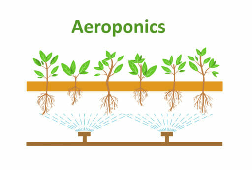 Aeroponics Market'