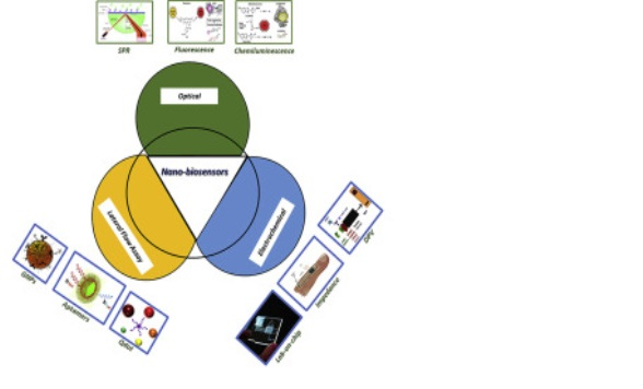 Nano Biosensor Market'