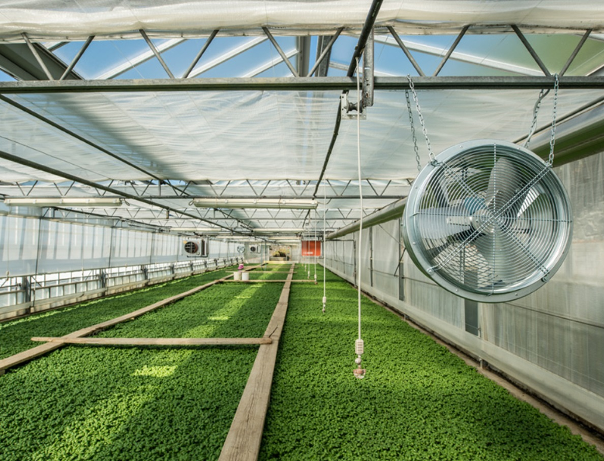 Agricultural Ventilation Fans Market'