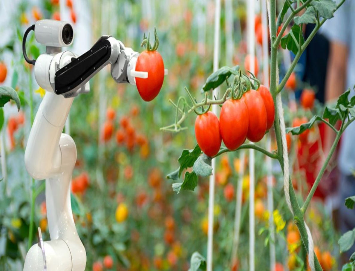 Agriculture Robots Market'