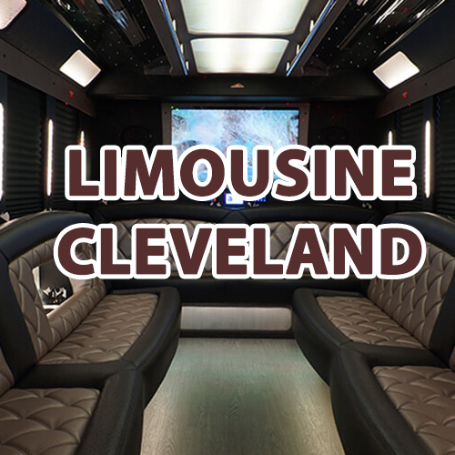 Company Logo For Limousine Cleveland'