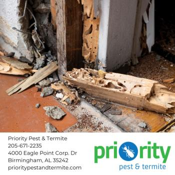Company Logo For Priority Pest and Termite'