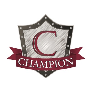 Company Logo For Champion Property Inspection LLC'