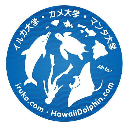 Company Logo For Iruka Hawaii Dolphin'