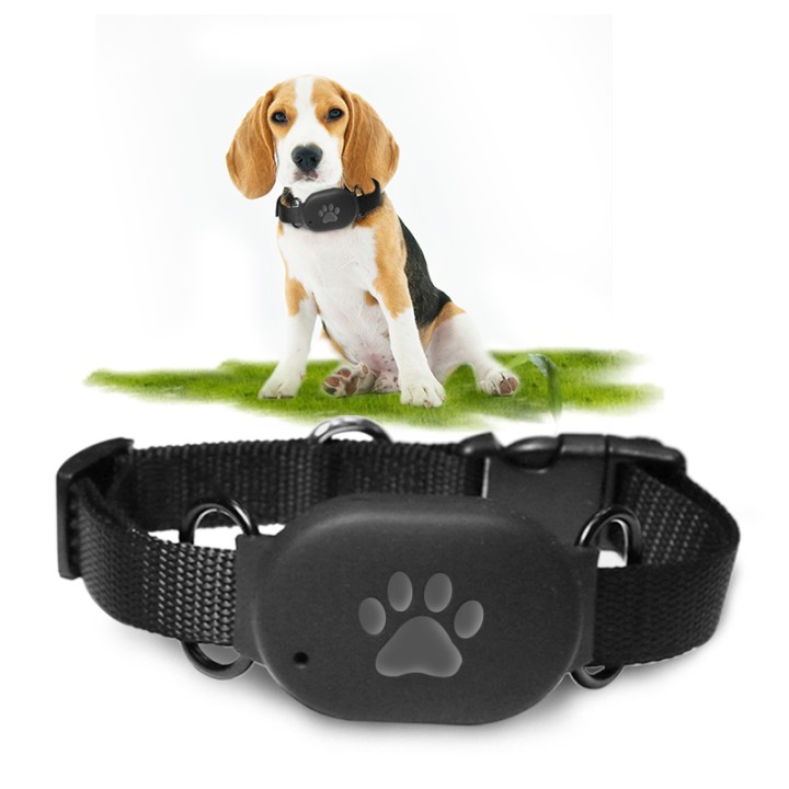 Pet Tracking Collar Market'