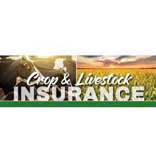 Crop and Livestock Insurance Market'
