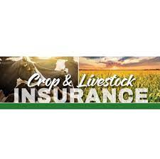 Crop and Livestock Insurance Market
