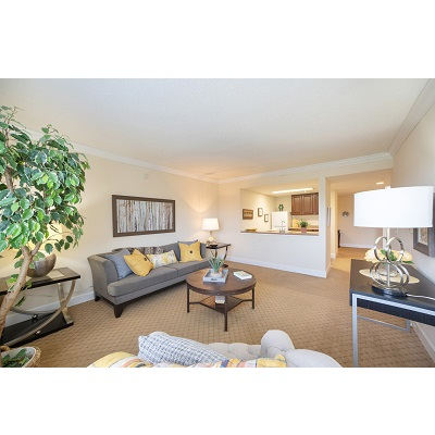 Chestnut Ridge Wallingford