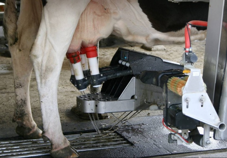 Automatic Milking Market'