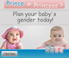 Plan My Baby Review'