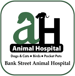 Company Logo For Bank Street Animal Hospital'