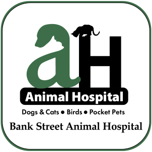 Bank Street Animal Hospital