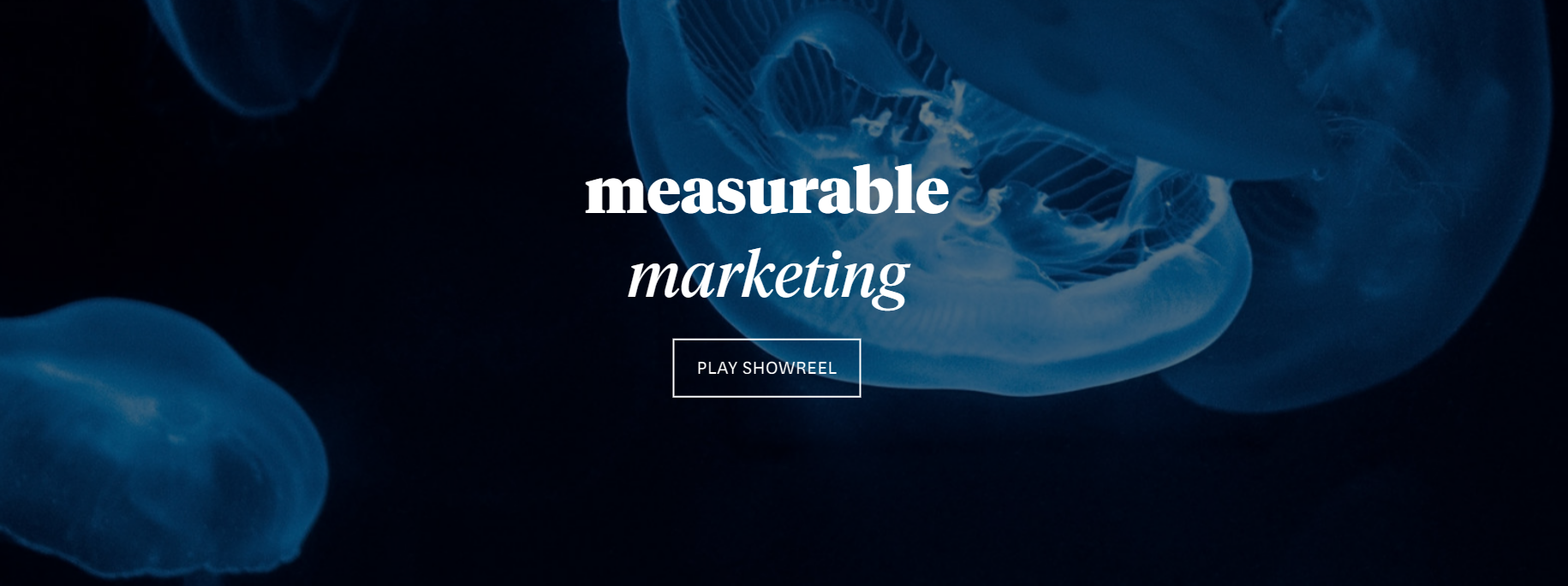 Company Image For Blue Meta Measurable Marketing'