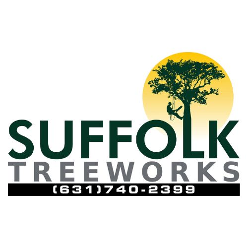 Company Logo For Suffolk Treework LI'