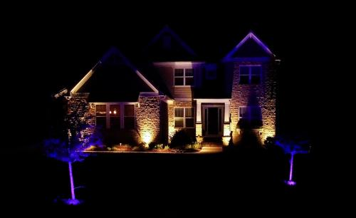 Palmetto Outdoor Lighting'