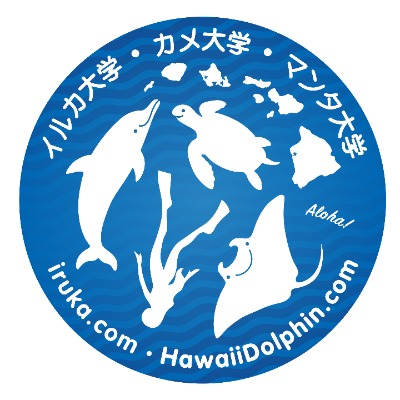 Iruka Hawaii Dolphin Snorkeling Tours'