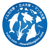 Iruka Hawaii Dolphin Snorkeling Tours Logo