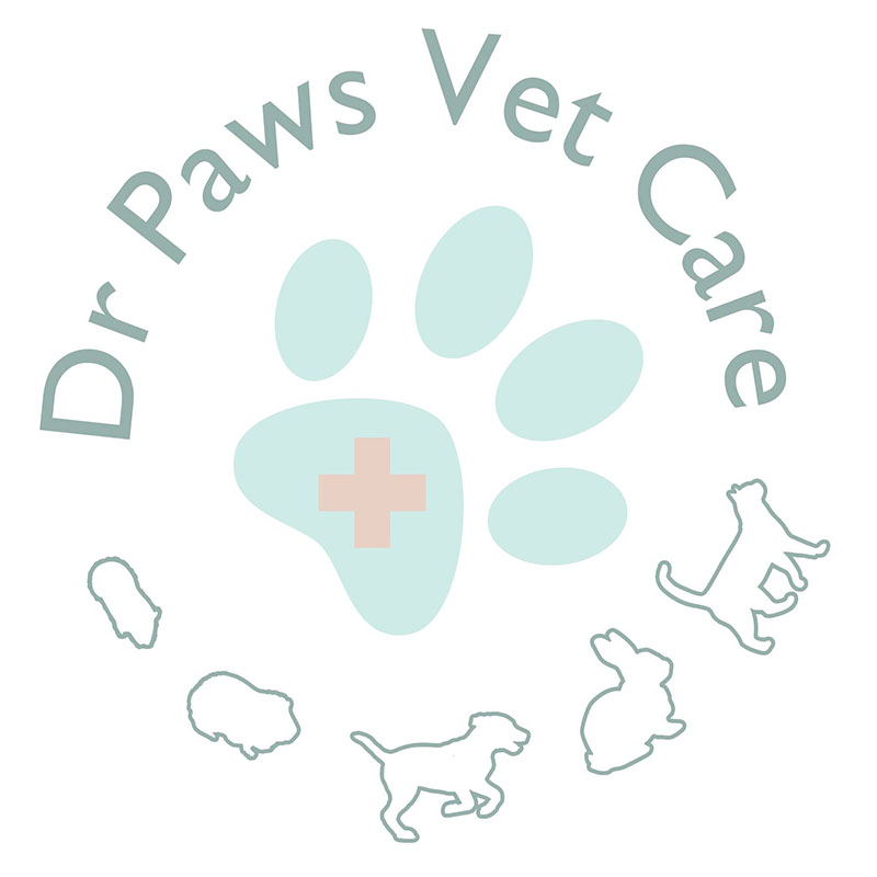 Company Logo For Pet surgeon Singapore - drpawsvetcare.com'