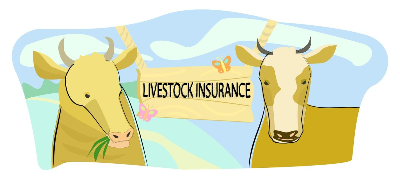 Livestock Insurance Market