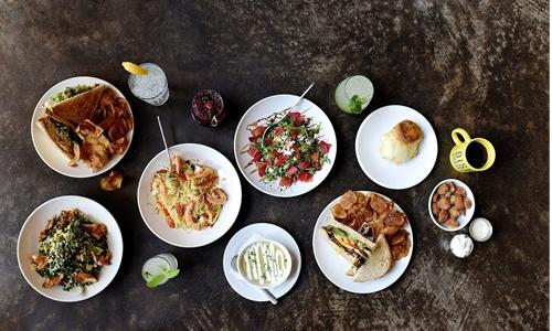 Company Logo For Dish Society'