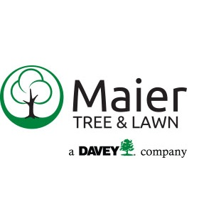 Maier Tree & Lawn Logo