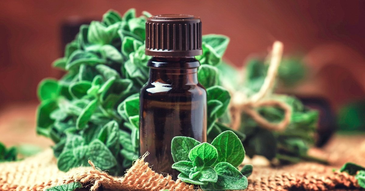 Oregano Oil Market'