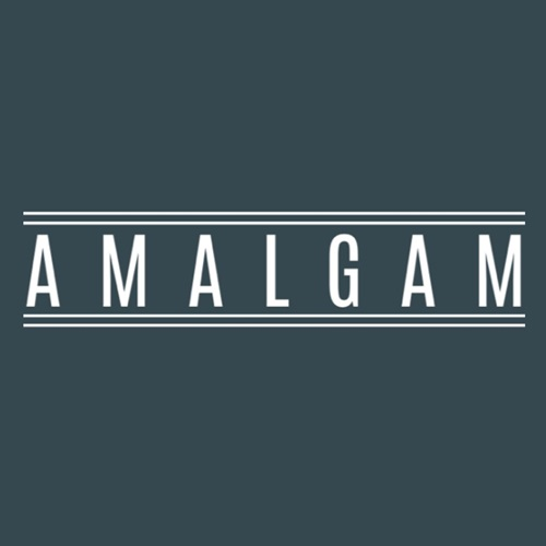 Company Logo For Amalgam Exterior Cleaning'