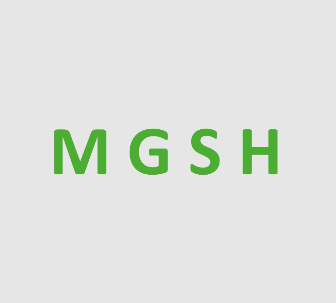 MGSH GmbH Logo