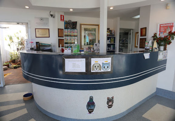 Company Logo For Kirrawee Veterinary Hospital'