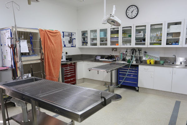 Company Logo For Kirrawee Veterinary Hospital'