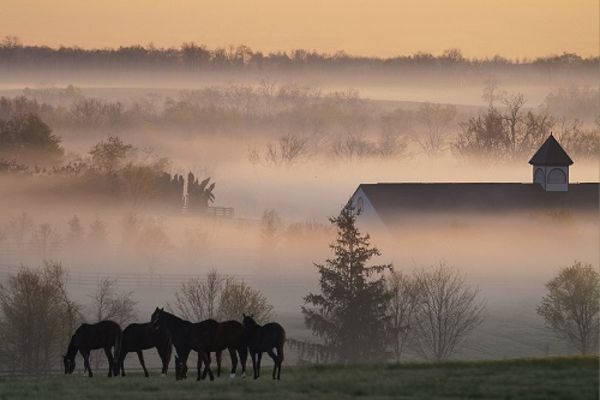 Nick Ratliff Realty Team of The LEXpert