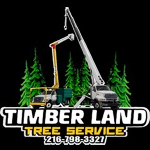 Company Logo For Timberland Tree Services'