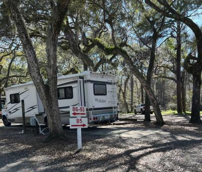 Company Logo For Spacious Skies Campgrounds - Savannah Oaks'