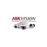 Hangzhou Hikvision Digital Technology Co Logo