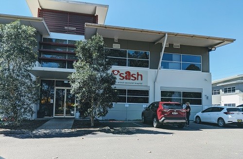 SASH - the Small Animal Specialist Hospital'