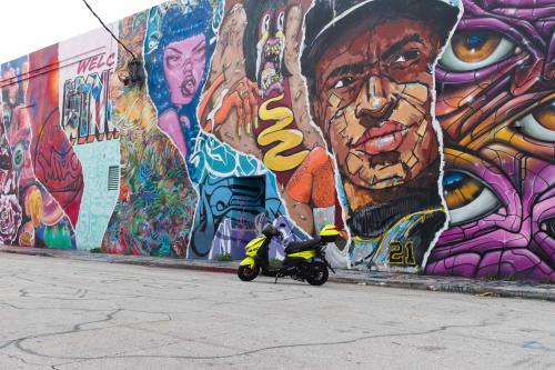 Company Logo For Scooter in Miami - Mid Beach'