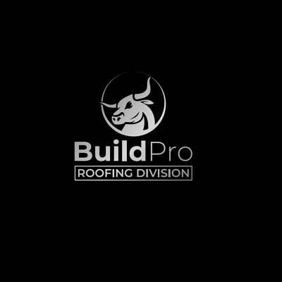 Company Logo For BuildPro Roofing Company'