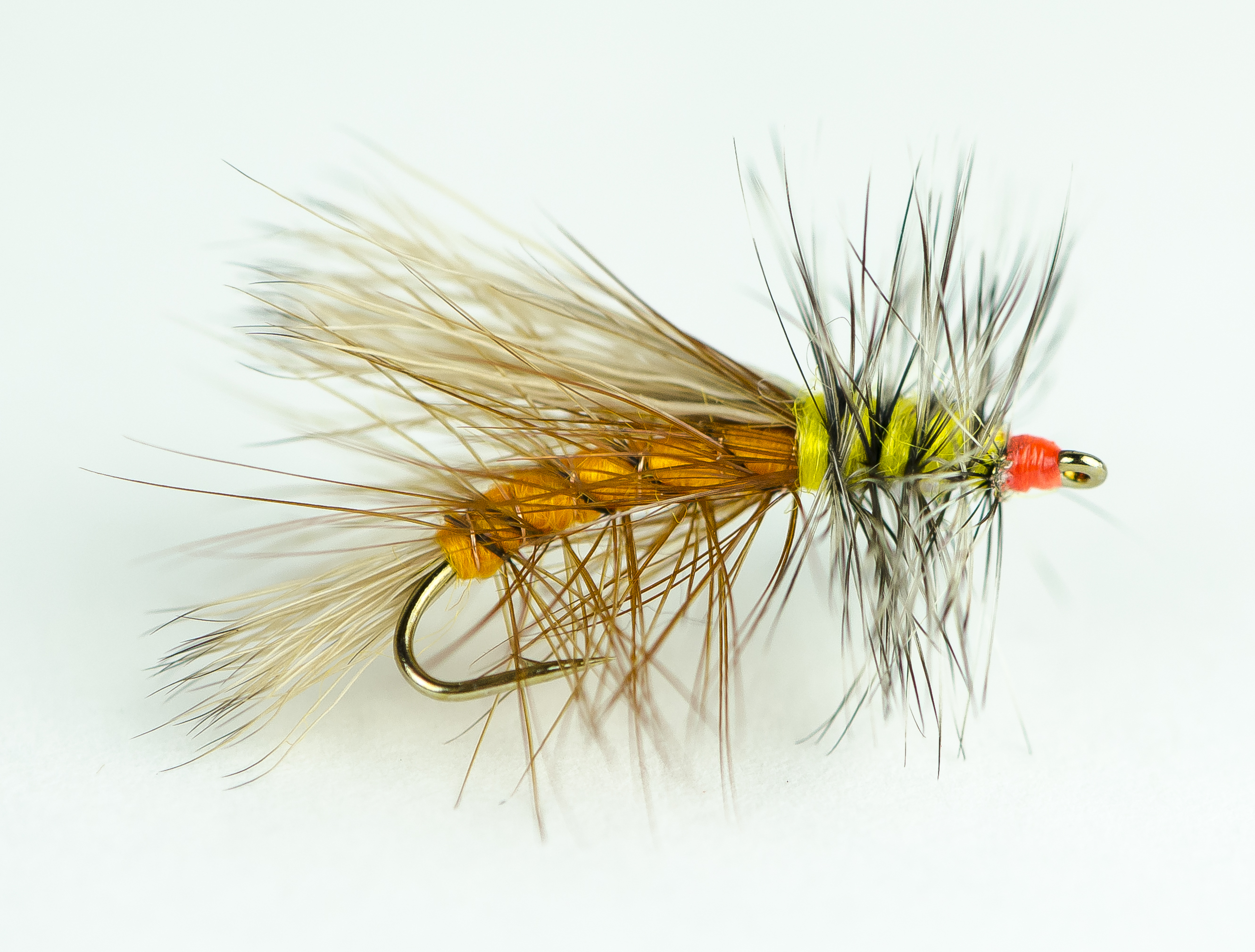 Learn How To Fly Fish'