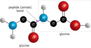 Peptides Market'
