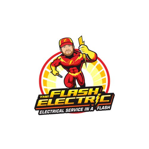 Company Logo For The Flash Electric'