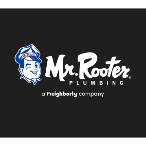 Company Logo For Mr. Rooter Plumbing of Columbus'