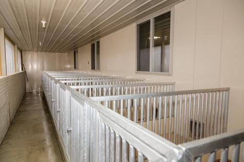 Vinyl Wall Panels by Yoder Interiors'