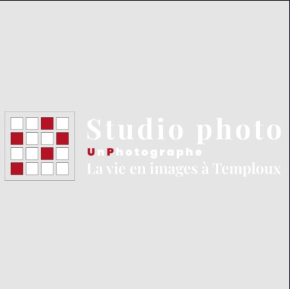 Company Logo For La vie en images &amp;agrave; Temploux'