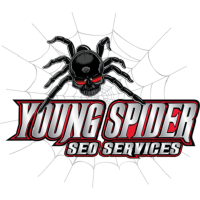 Young Spider SEO And Digital Marketing Logo