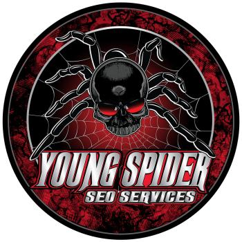 Company Logo For Young Spider SEO And Digital Marketing'