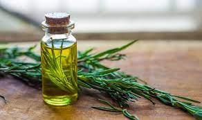 Rosemary Extract  Market Sees High Growth Backed by Dominant'